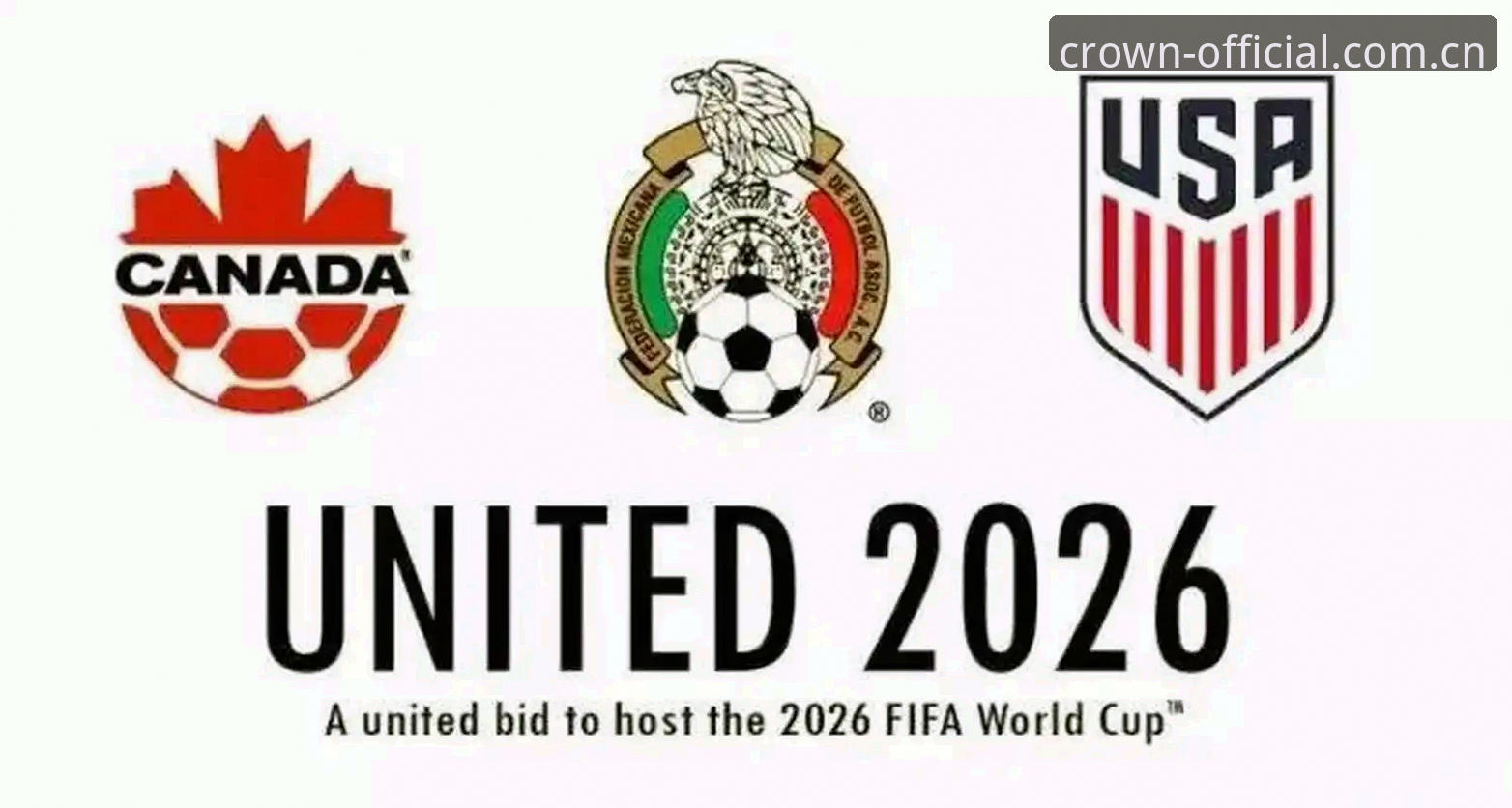 皇冠国际投注体验iOS版 2026世界杯观赛签证难题完整指南:从约旦球迷困境看国际赛事出行策略
